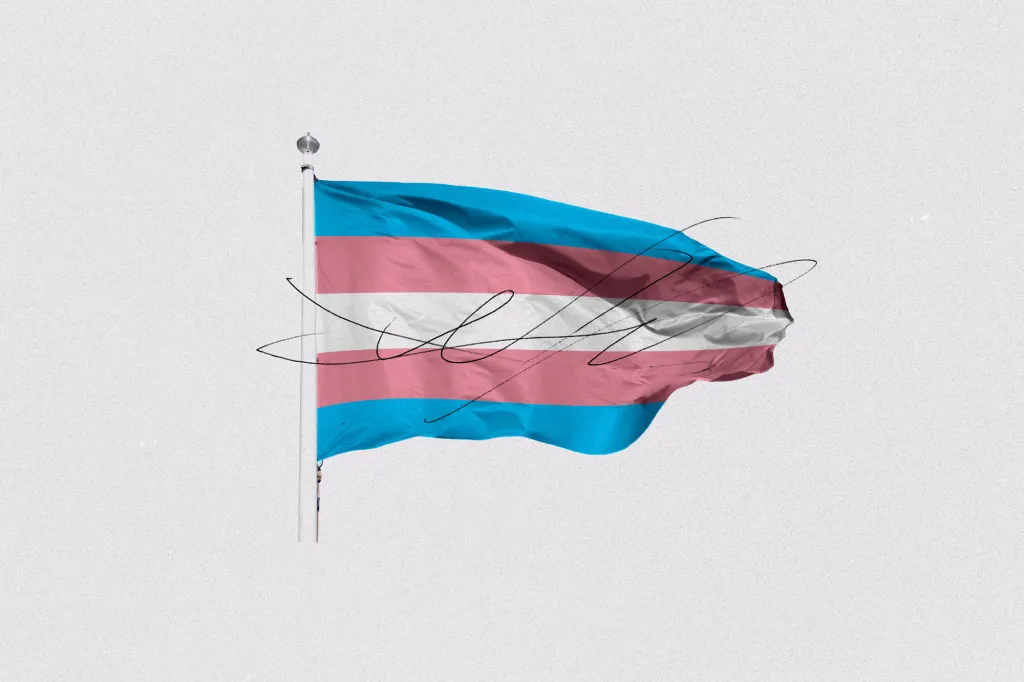 A trans Pride flag with a scribble drawn over it.