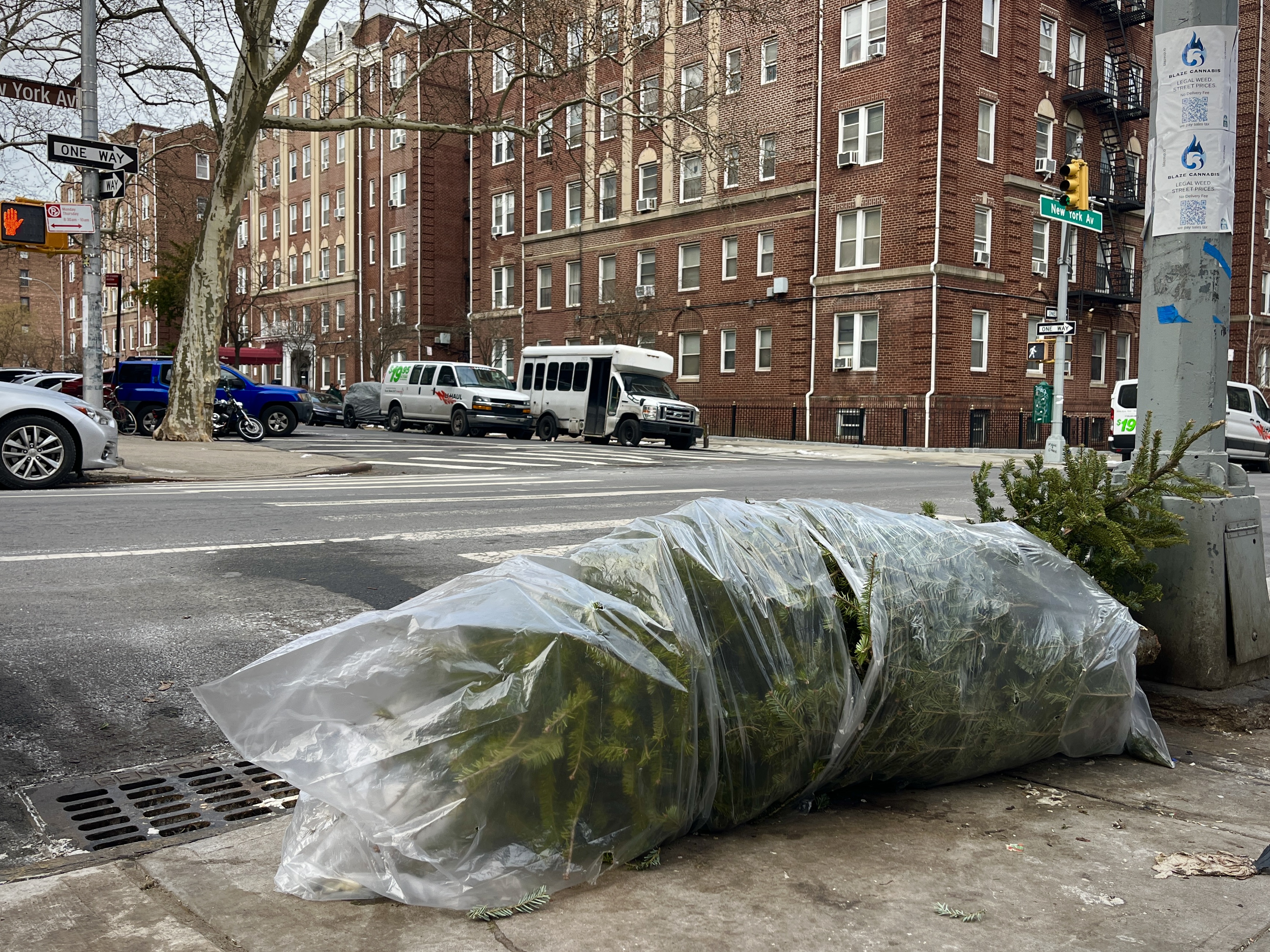 Christmas tree disposal requests spiked last holiday